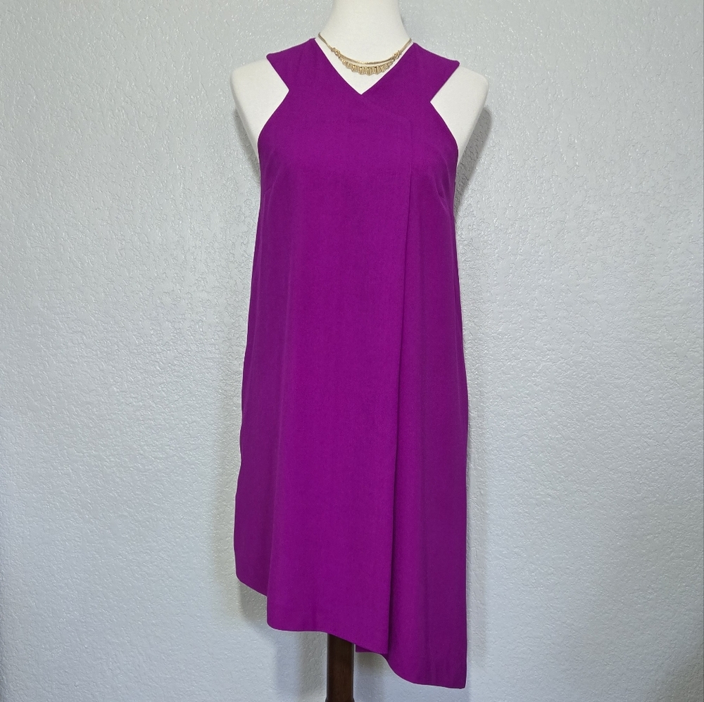 Rachel Roy Pink Asymmetrical Sleeveless Dress, Size S